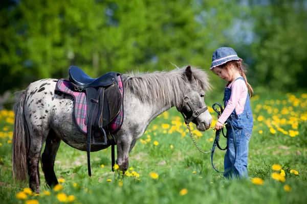 Pony Riding - White Clay Castle Adventure Park, Manavgat Antalya